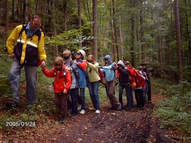 Blind durch den Zauberwald